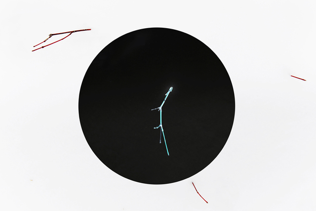 Marie-Josée Rousseau, ‘No title’, 2015, La Castiglione Gallery
