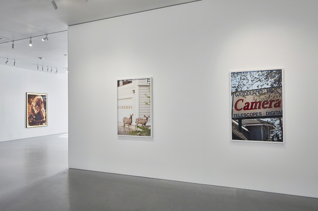 Artworks © Roe Ethridge. Photo by Johnna Arnold. Courtesy Gagosian. Artworks © Roe Ethridge. Photo by Johnna Arnold. Courtesy Gagosian.