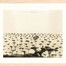Teo Esguerra