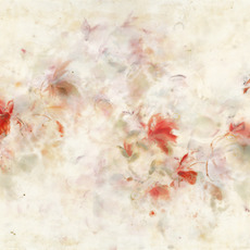 Betsy Eby