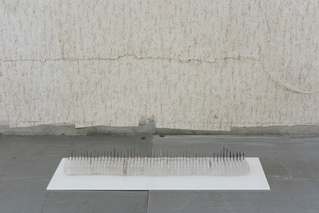 Brenda Magdalena Wald, DADDY – Klasse Riedel, 21 June – 11 July 2018, G2 Projektraum (G2 Kunsthalle Leipzig), photo: graysc.de Brenda Magdalena Wald, DADDY – Klasse Riedel, 21 June – 11 July 2018, G2 Projektraum (G2 Kunsthalle Leipzig), photo: graysc.de
