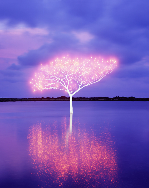 Lee Jeonglok, ‘Tree of Life in Island 5-4-8’, 2013, Pontone Gallery