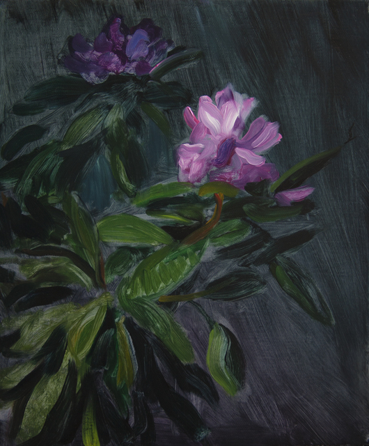 TM Davy, ‘Rhododendron’, 2016, Independent Curators International (ICI) Benefit Auction
