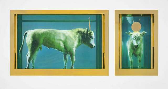 Damien Hirst, ‘The Golden Calf’, 2009, DTR Modern Galleries