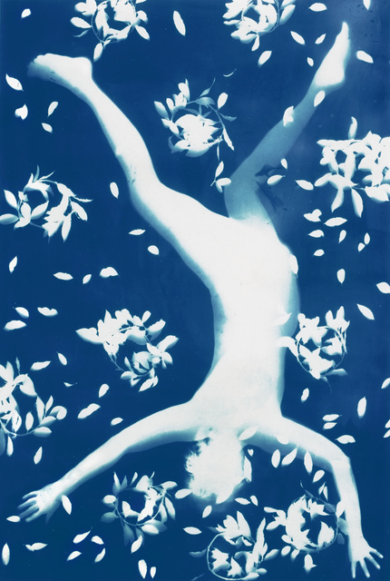 Nancy Wilson-Pajic, ‘Falling Angels n° 6’, 1995, Photography, Cyanotype photogram, Robert Koch Gallery