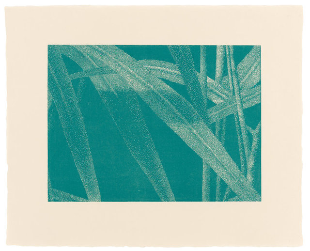 Franz Gertsch, ‘»Gräser I, Detail 3, Türkis«’, 2002, Ludorff