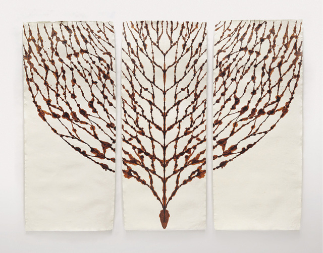 Peter Randall-Page, ‘Blood Tree I’, Anima Mundi