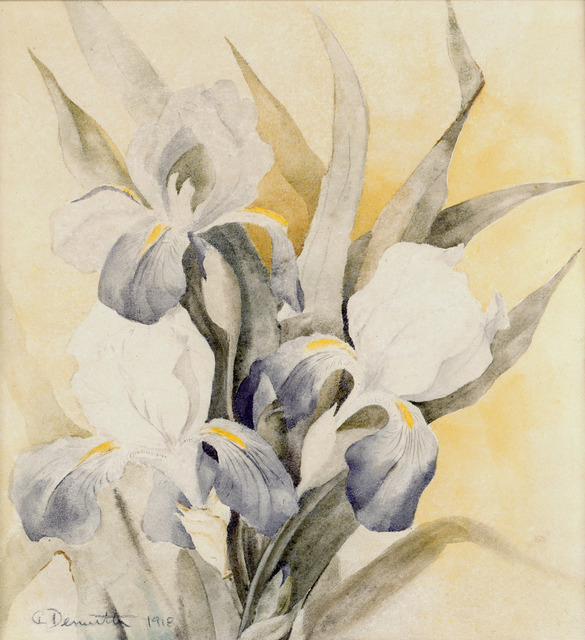 Charles Demuth, ‘Iris’, 1918, Forum Gallery