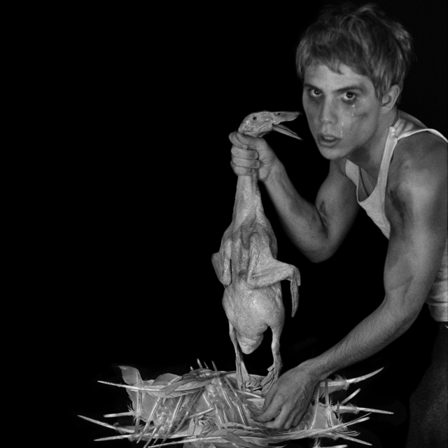 Anthony Goicolea, ‘U is for Ugly Duckling ’, 1995, Galerie Ron Mandos