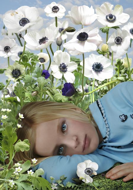 Ruud Van Empel, ‘Dawn #4’, 2008, Huxley-Parlour