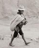 Le joueur de flûte