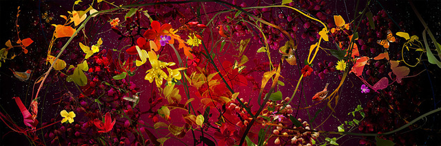 Ysabel Lemay, ‘Lush ’, 2011, The Directed Art Modern