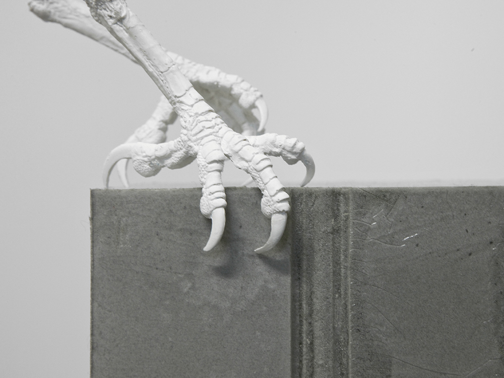 Lucie Lanzini, Corbeau, 2014 Lucie Lanzini, Corbeau, 2014
