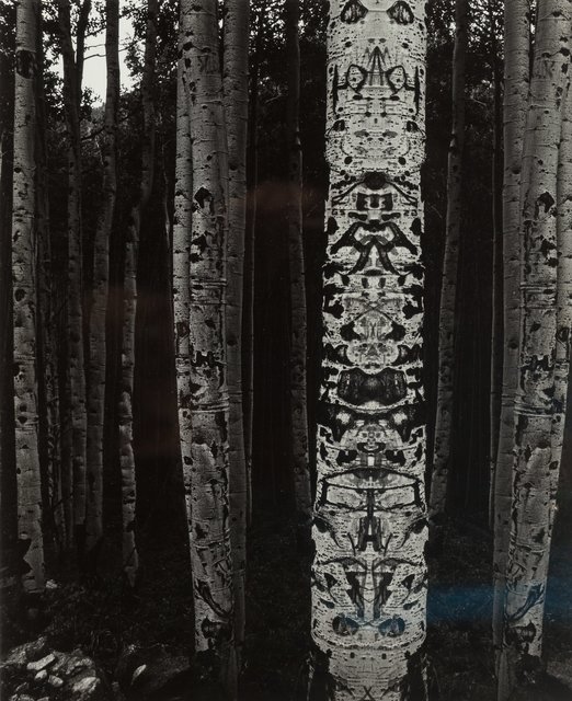 Jerry Uelsmann, ‘Totemic Aspen’, 1970, Heritage Auctions