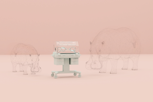 Inspection of Incubator