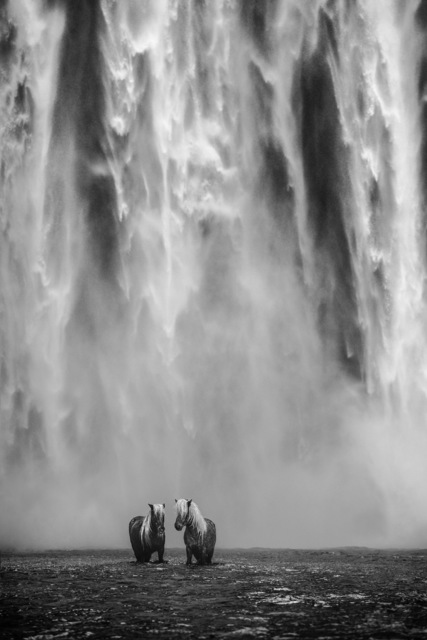 David Yarrow, ‘The Dream’, 2018, Fineart Oslo