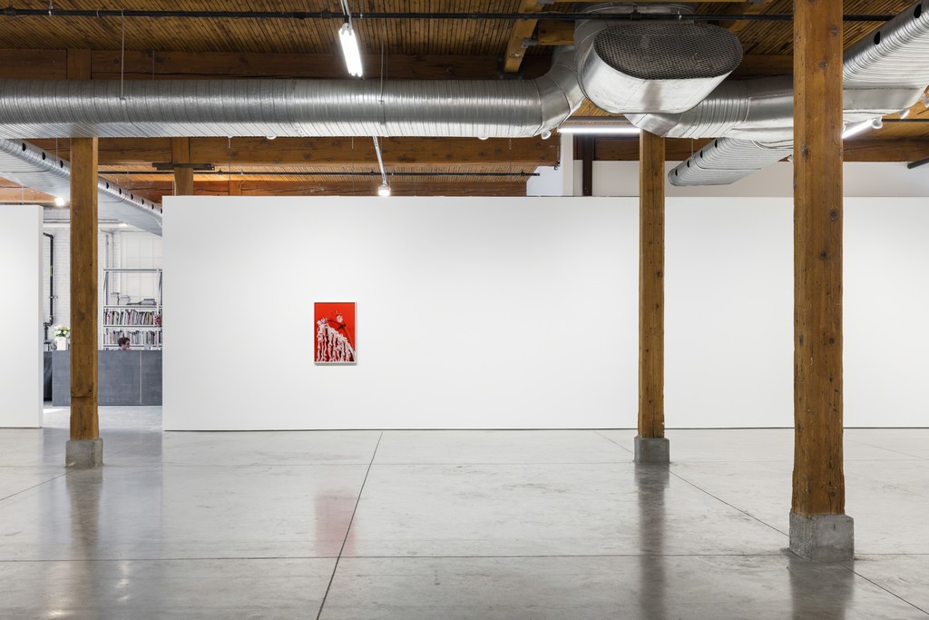 Michelle Bui, Centerfold, 2019, installation view. Michelle Bui, Centerfold, 2019, installation view.