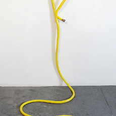 Tamara Johnson