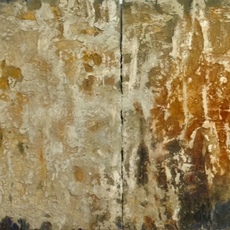 Rebecca Spivack
