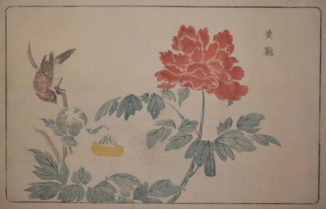 Kitao, Masayoshi