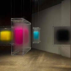 David Spriggs
