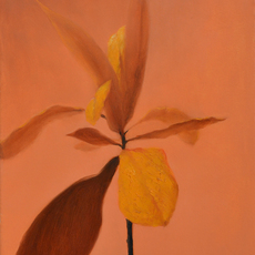 Chinh Nguyen Khac