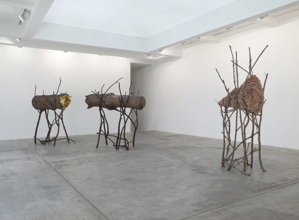 Giuseppe Penone: Le Corps d’un jardin, Installation View, Galerie Marian Goodman, Paris, May 25 - June 22, 2013 Giuseppe Penone: Le Corps d’un jardin, Installation View, Galerie Marian Goodman, Paris, May 25 - June 22, 2013