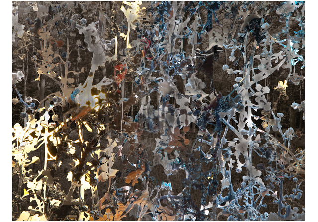 Aziz + Cucher, ‘Scintilla_01’, 2016, ClampArt
