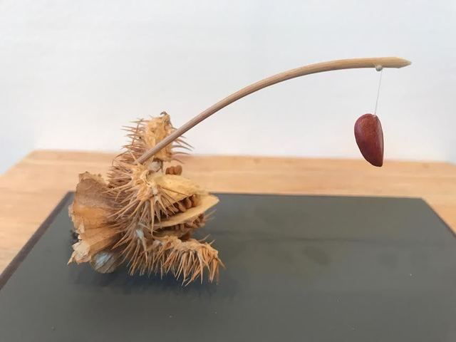 Rachel Muldez, ‘Promised Prosperity’, 2016, Sculpture, Moon flower seed pod, magnolia seed, chia seeds, Ro2 Art