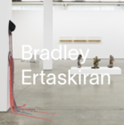 Bradley Ertaskiran | Artists, Art For Sale, And Contact Info | Artsy