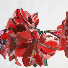 Inge Ellegaard
