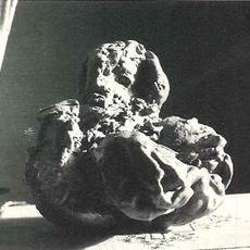Katsuhiro Yamaguchi