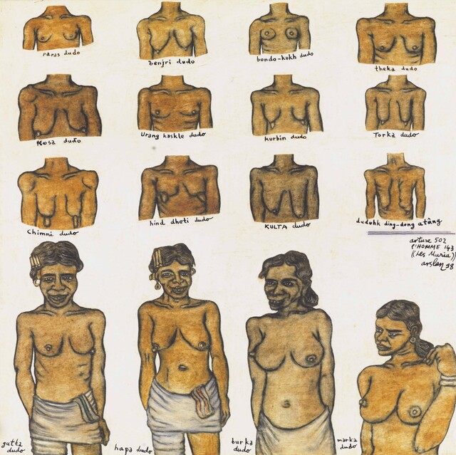 Arture 502, Man 143: The Muria