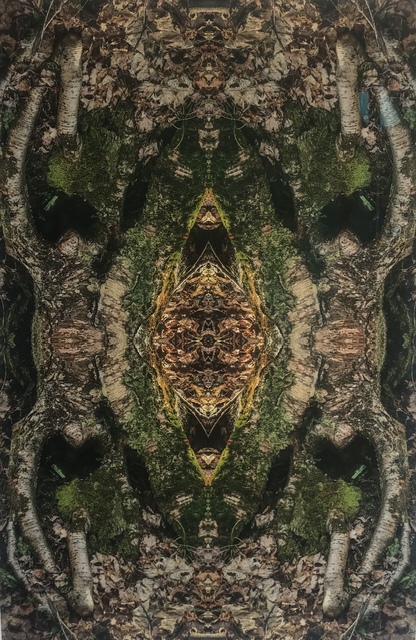 S. Kay Young, ‘Birth’, 2018, M Contemporary Art