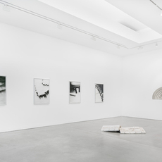 Julian Irlinger. A Smile with One Tooth