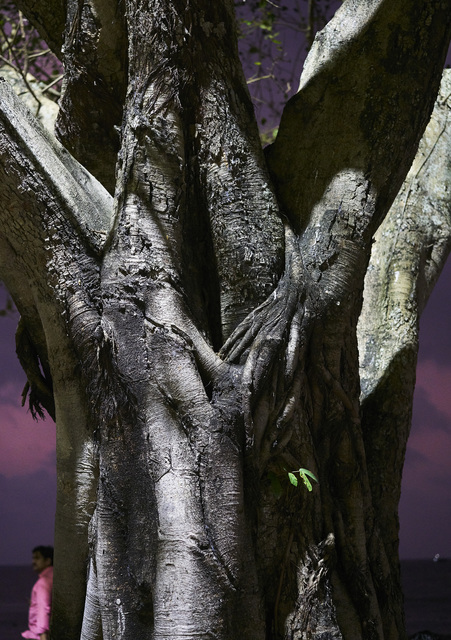 Flo Maak, ‘Hope’, 2020, Photography, Pigment print in artist frame with museum glass, Bernhard Knaus Fine Art