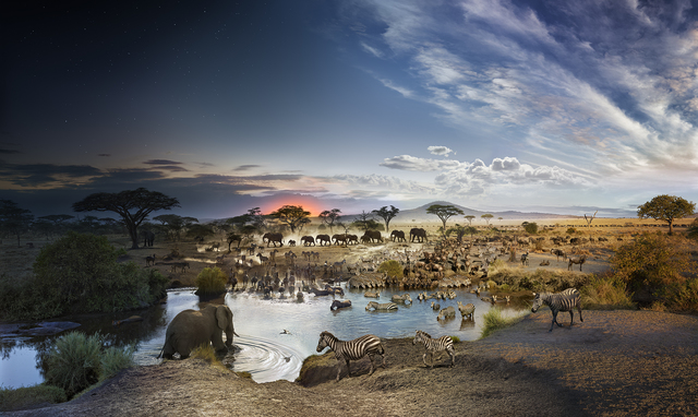 Stephen Wilkes, ‘Serengeti National Park, Tanzania’, 2015, Archival digital pigment print, Robert Klein Gallery