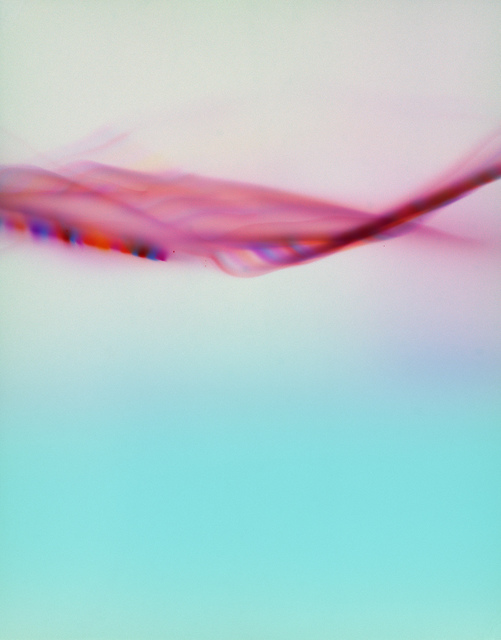 Jiang Pengyi, ‘In Some Time No.6’, 2016, Blindspot Gallery