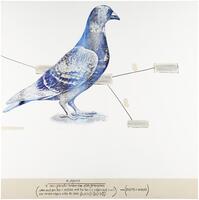 Operator Painting (n Pigeons)