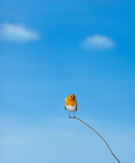Lilia Mazurkevich, ‘Curious Colin’, 2018, M1 Fine Art