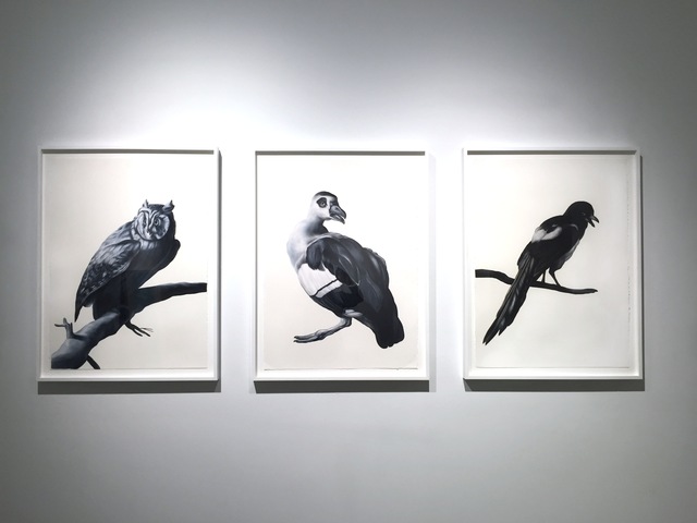 Shelley Reed, ‘On a Branch (after Duranti), Glance (after Weenix), Magpie (after Hondecoeter)’, 2016, Drawing, Collage or other Work on Paper, Oil on paper, Sears-Peyton Gallery