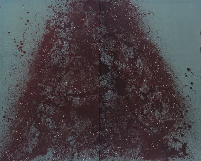 Imran Qureshi, ‘Midnight Garden’, 2017, Nature Morte