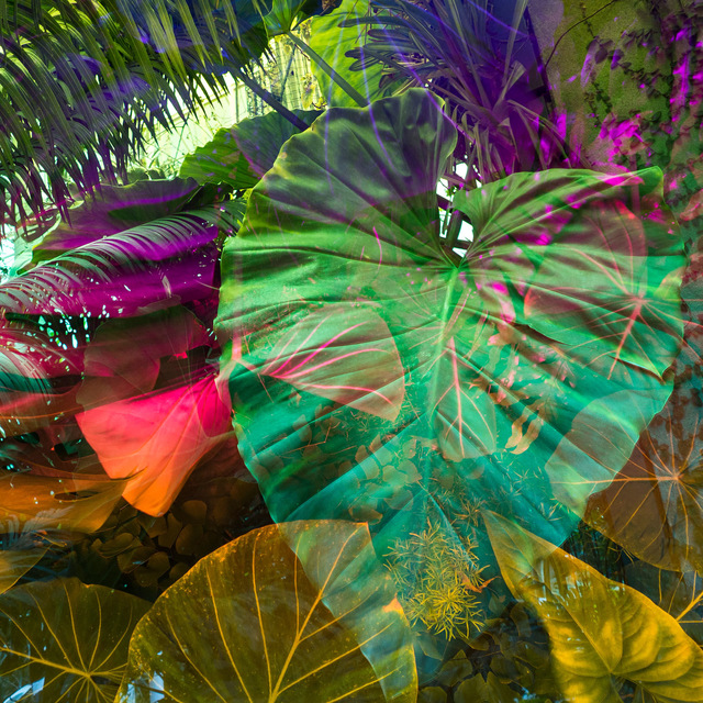 Karine Laval, ‘Heterotopia #70’, 2017, Robert Koch Gallery