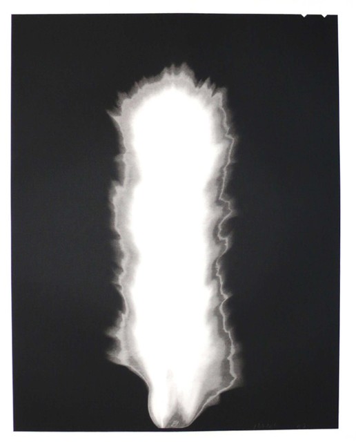 Hiroshi Sugimoto In Praise of Shadows (1998) Available