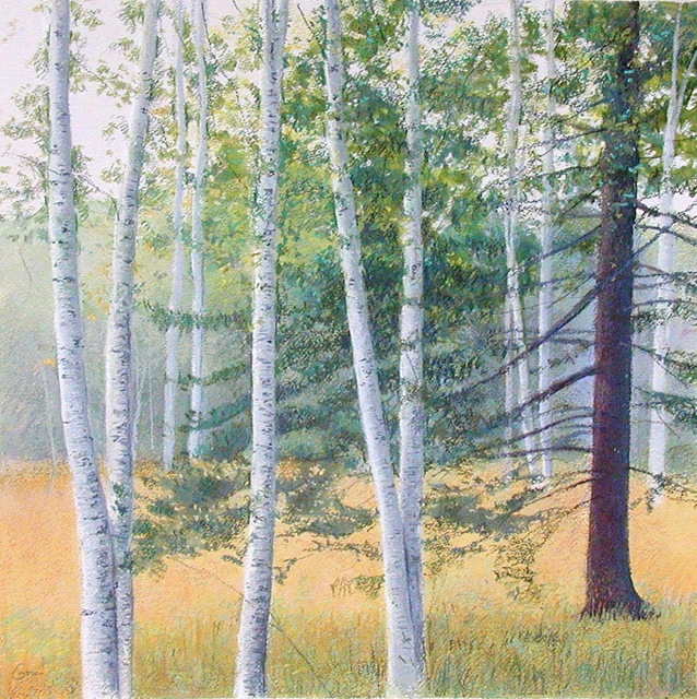 Elissa Gore, ‘Birch Field 2’, 2001, Kathryn Markel Fine Arts