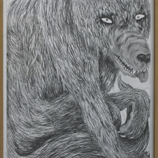 Silas Inoue