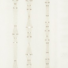 Afruz Amighi