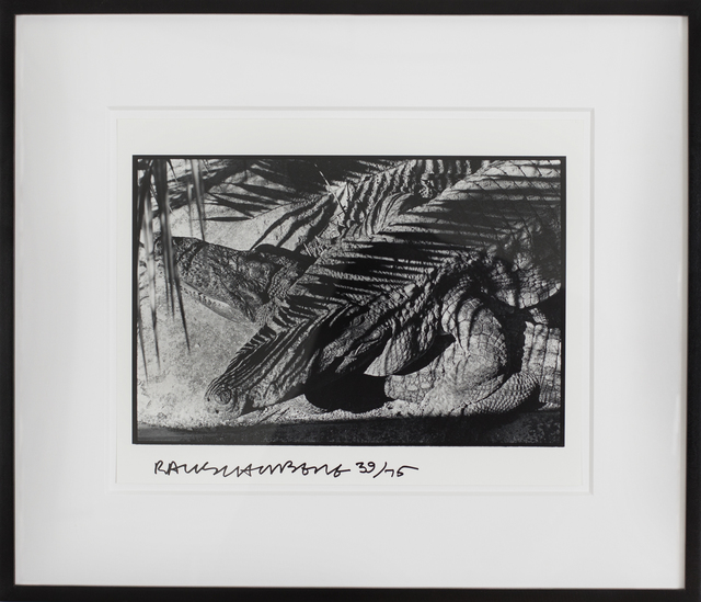 Robert Rauschenberg, ‘Untitled, Ft. Myers’, 1979/91, Independent Curators International (ICI)