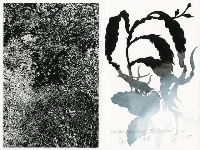 Jan Hendrix, ‘Drawing the Distance’, 2018, Drawing, Collage or other Work on Paper, Aquatint and Watercolor, Proyecto Gráfika 21