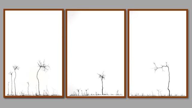 Mahmoud Hamadani, ‘Untitled (Triptych)’, 2016, Mark Hachem Gallery